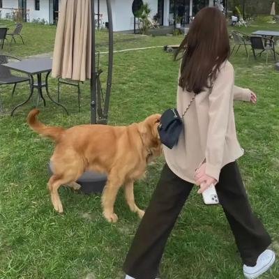 路易十四的死亡纪事
